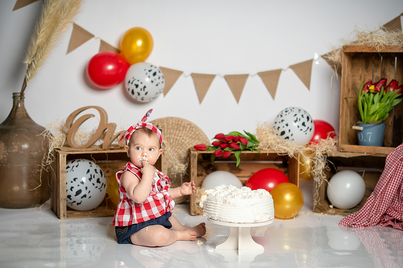 servizio fotografico torta compleanno