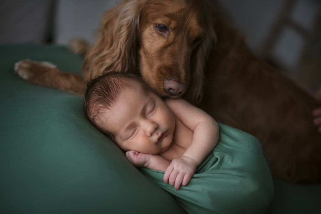 fotografia neonato con cane